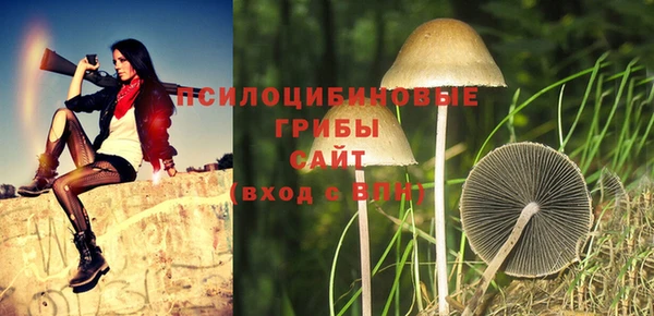 шишки Куйбышев