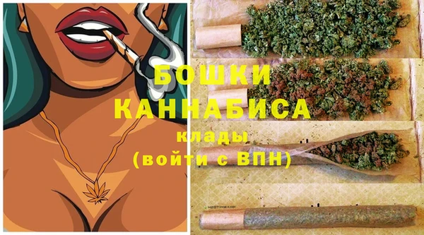стаф Кулебаки